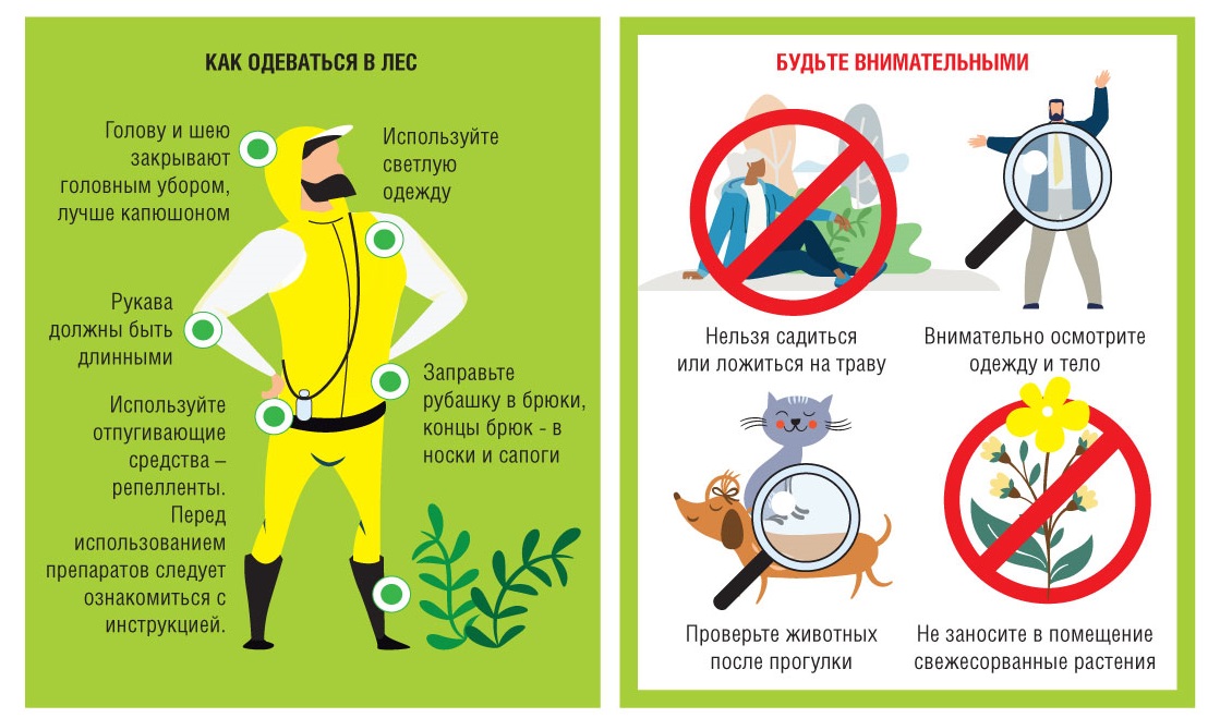 Правила